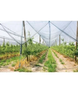 RETE ANTIGRANDINE 2X10 M